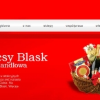 Sieć handlowa Delikatesy Blask