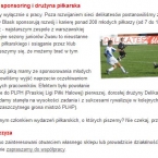 Sieć handlowa Delikatesy Blask